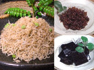 京都下鴨すぐり ちりめん山椒 京佃煮 佃煮 塩昆布 業務用 卸取引 スマホ版